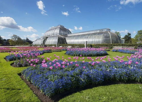 云南花卉業(yè) 以荷蘭為師，構(gòu)筑亞洲花都新愿景